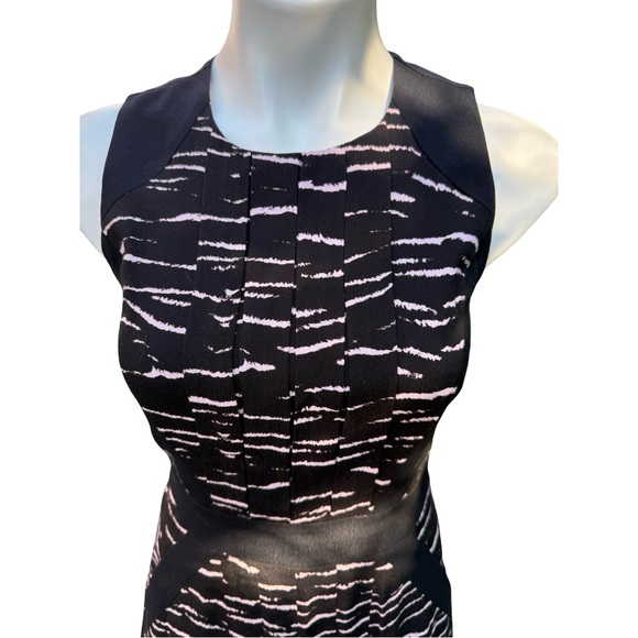 Rebecca Taylor Black Pink Stripe Fit & Flare Sleeveless Dress Size 2 - Picture 3 of 9